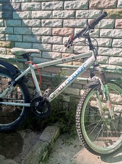 mountain bicycle for sale