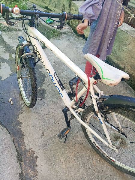 mountain bicycle for sale 10