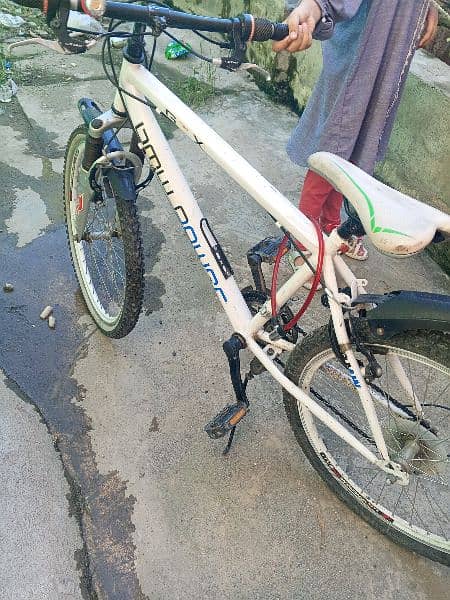 mountain bicycle for sale 11