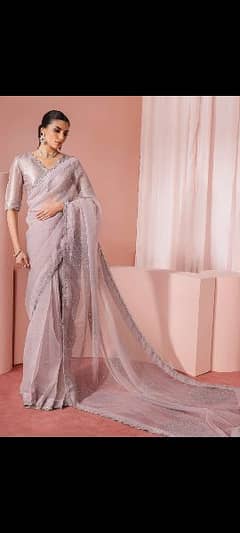 Tissue silk blouse with organza fully embellished saree.