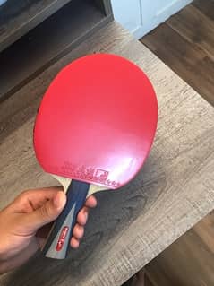 Sanwei 710 carbon ( professional table tennis racket )