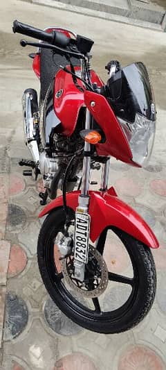 ybr 125