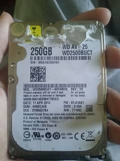 250 gb hdd western digital and mint condition