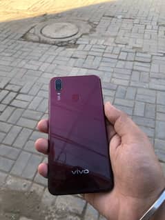 vivo