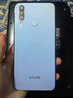 vivo