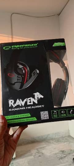 Raaven Gaming Headset witn Mic