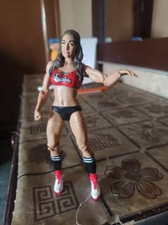 wwe Action figure