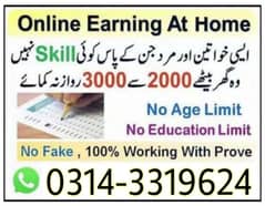 Online job at Home/Part Time/Data Entry/Typing/Assignments/Teaching