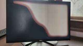 Dell LED 24 inch