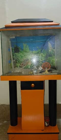 Aquarium With all accessories