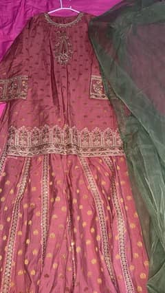 Ethnic Sharara with short shirt and organza duppatta