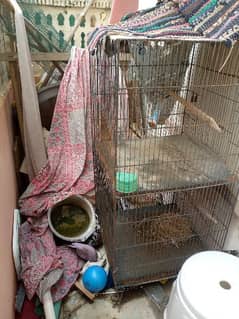 cage for sale 2 portion