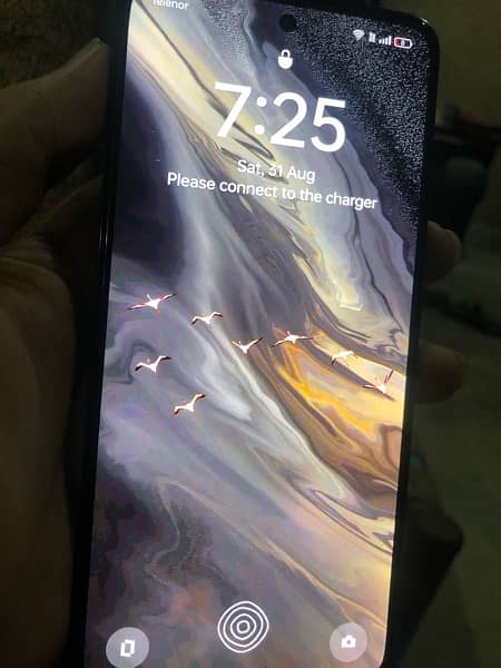 oppo reno 12F 8/128 1