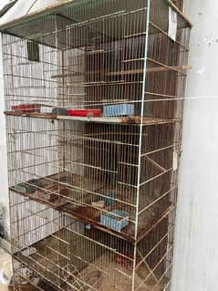 Parrot cages 0