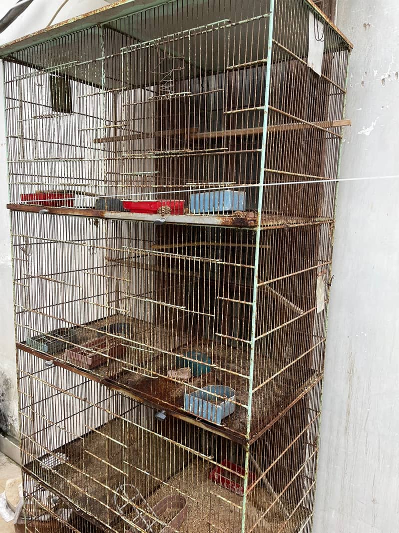 Parrot cages 0