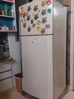 Jumbo Size Dawlance Refrigerator