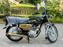 Honda 125 2024 Gold special edition