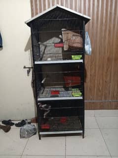 birds cage for sale