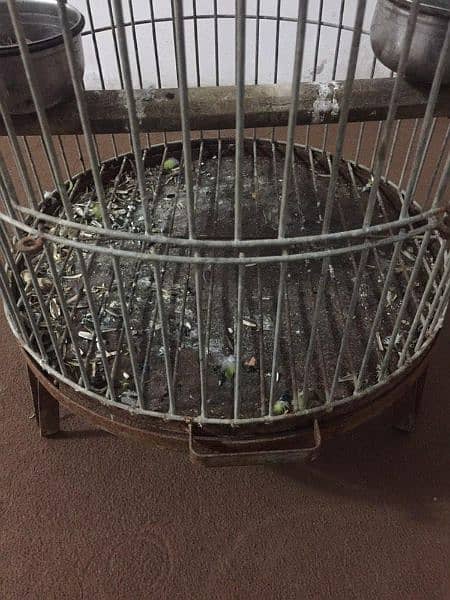 cage for green parrot 3