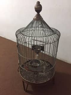 cage for green parrot