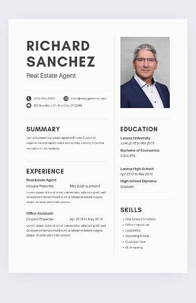 Professional CV or Resume Maker 3