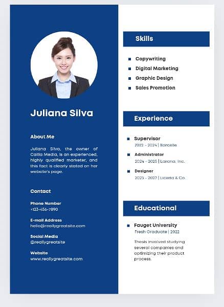 Professional CV or Resume Maker 8