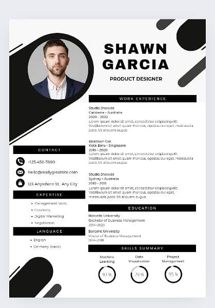 Professional CV or Resume Maker 12