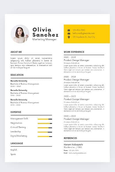 Professional CV or Resume Maker 13