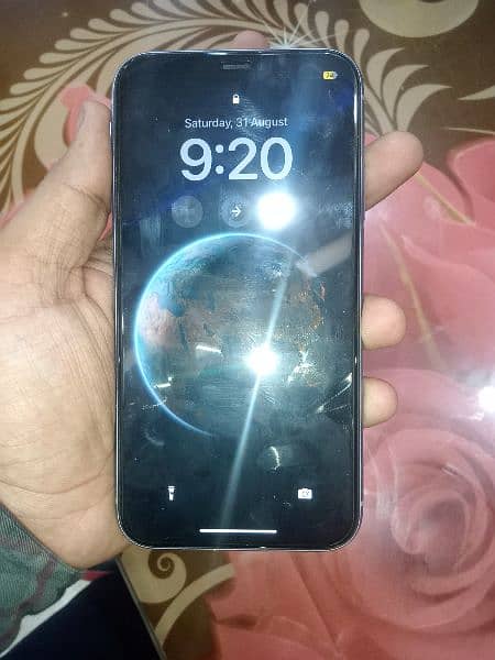 iPhone 11 non pta 2