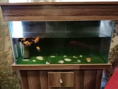 AQUARIUM FOR SALE WITH GOLD FISHES