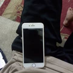 iphone 6 0