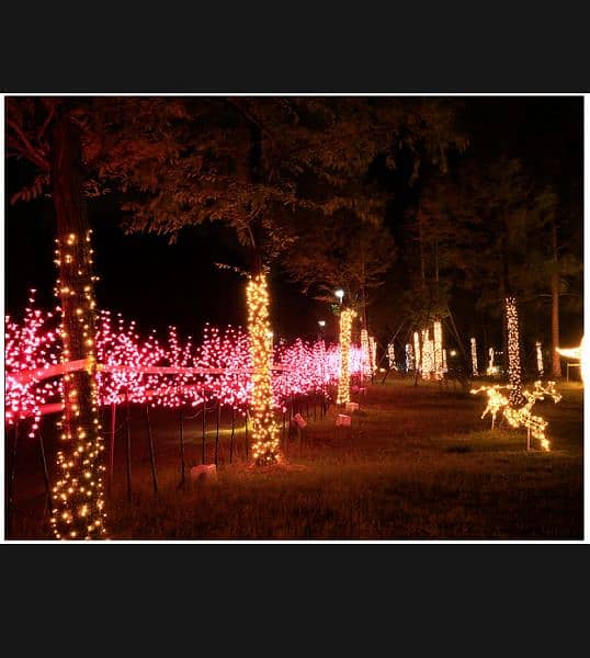 18 feet fairy lights for home decoration and  eid melad-un-nabi 3