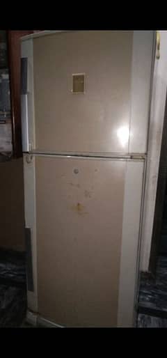 Dawlance frige medium size All working colling ok