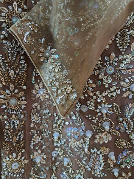 Pure Organza Embroidered suit - 3 pc - stitched - brown and skin 3