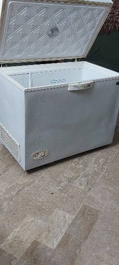 Waves 13 Cubic feet Single Door Deep Freezer