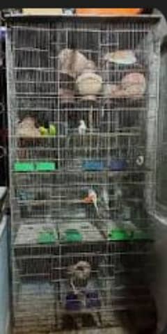 used cage 12 poshan