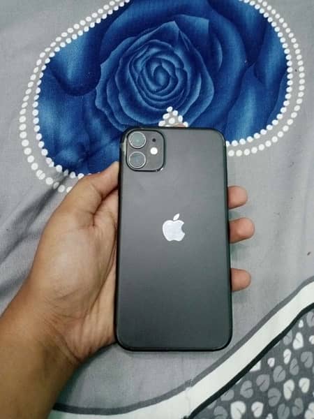 Apple iphone 11 0