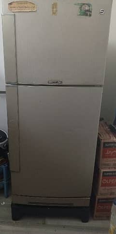 PEL FRIDGE/REFRIGERATOR