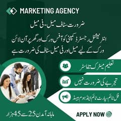 Male & Female Staff Require For Job 0