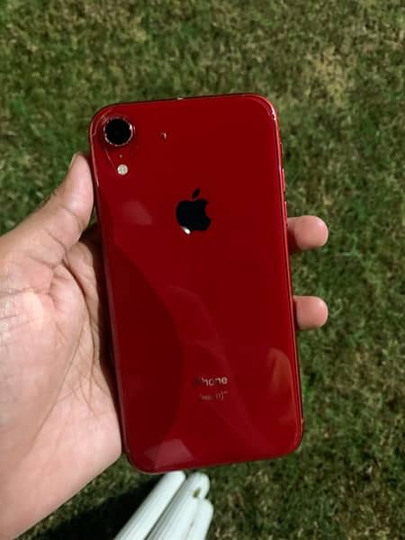 iphone XR 3