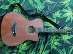 Acoustic Guitar