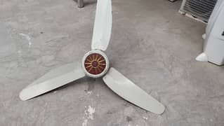 royal ceiling fan