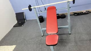 Gym Bench with incline decline and flat bench press