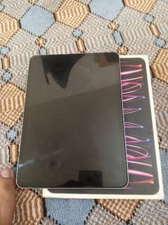 ipad pro M2 chip 10/10  condition