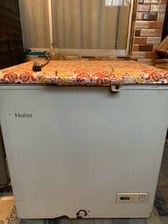 Haier One door Freezer