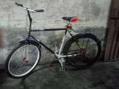 one week use bicycle new condition ger bi ha