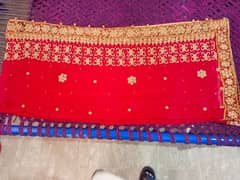 Bridle lehnga complete