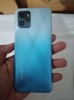 vivo