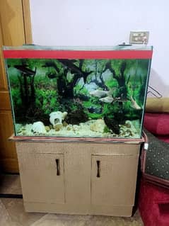 Aquarium with fishes & accessories for sale