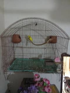 hen or bird cage